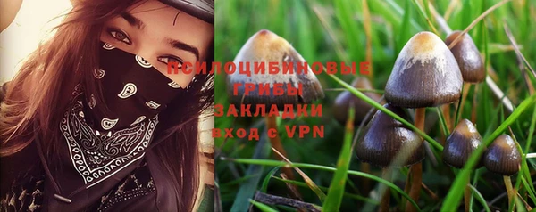 гашиш Аркадак