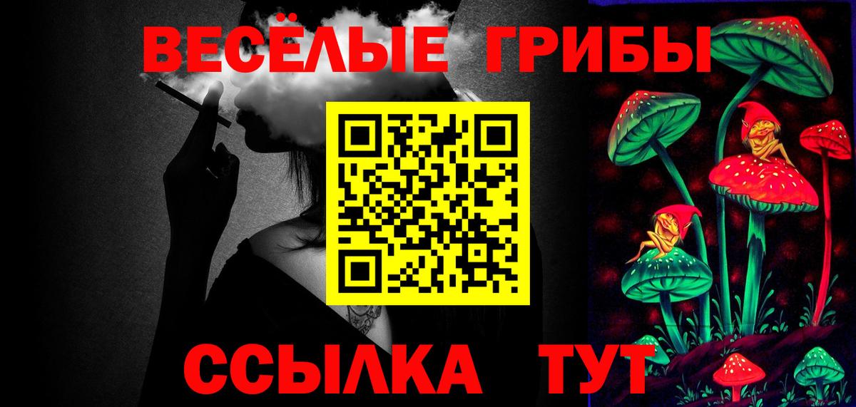 Псилоцибиновые грибы прущие грибы Белово