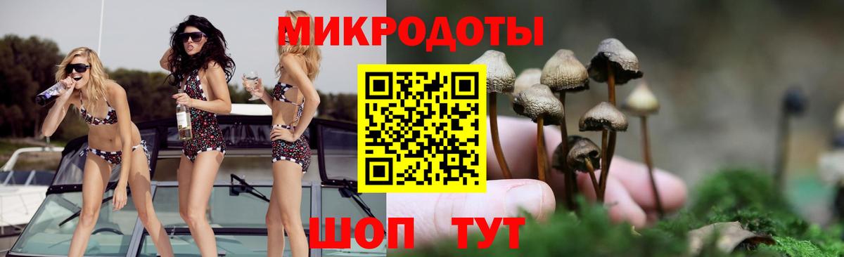 Псилоцибиновые грибы мухоморы Белово