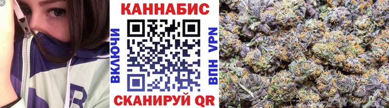 сколько стоит  Белово  Конопля планчик 